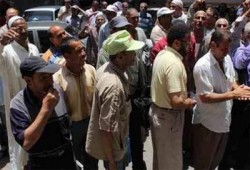 توافد العمالة المؤقتة للتثبيت بوزارة الزراعة