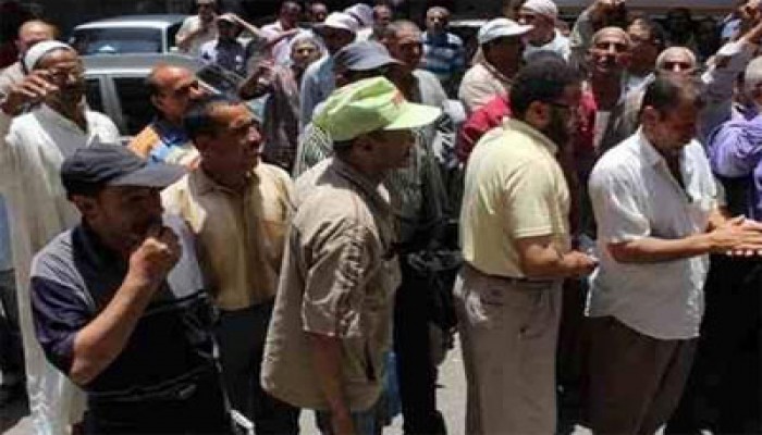 توافد العمالة المؤقتة للتثبيت بوزارة الزراعة