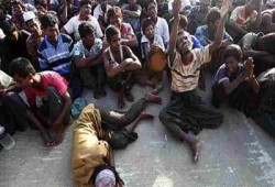 استمرار القتل والاعتقال والتهجير بحق مسلمي الروهينجيا