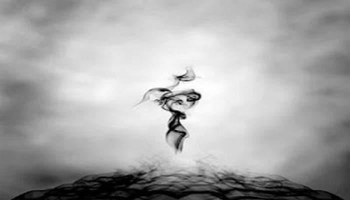 إهمال الانقلاب يصيب 11 طالبة بـ"تجارية شبين القناطر" بالاختناق