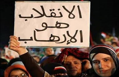 ألمانيا تطالب حكومة الانقلاب بمراعاة حقوق الإنسان