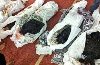 معرض فضح جرائم الانقلاب في مصر يصل باريس