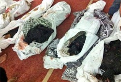 معرض فضح جرائم الانقلاب في مصر يصل باريس