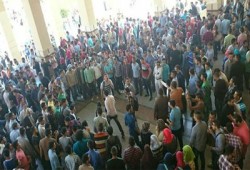 طلاب مصر يطلقون هاشتاج "فالكون طلعت سوسن"