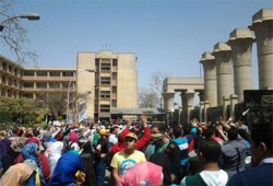 بعد "الأزهر".. "فالكون" تفر من طلاب عين شمس