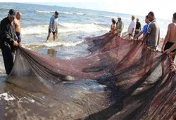 تجاهل الانقلاب لتلوث المياه قضى على الثروة السمكية ببورسعيد