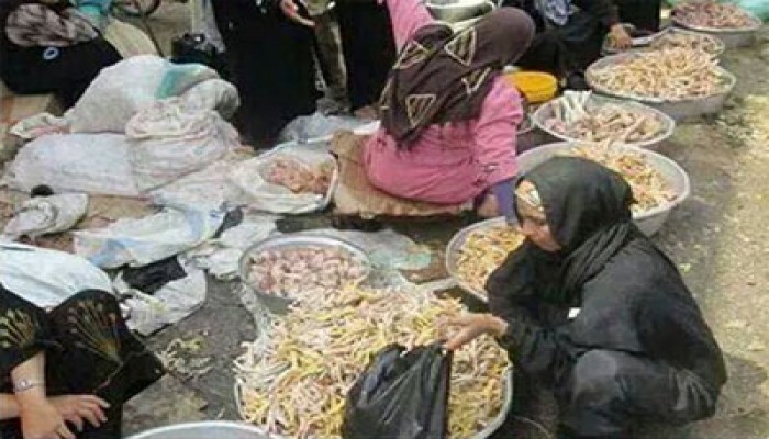 هيثم أبوخليل:حكومة العسكر لاتعرف الشعب الفقير