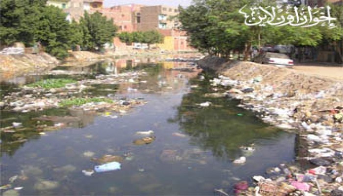 الانقلاب يلوث مياه الزراعة بالشرقية بمخلفات الصرف الصحي