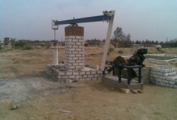 انقطاع مياه الشرب يدفع أهالي بني سويف للطلمبات الحبشية!!