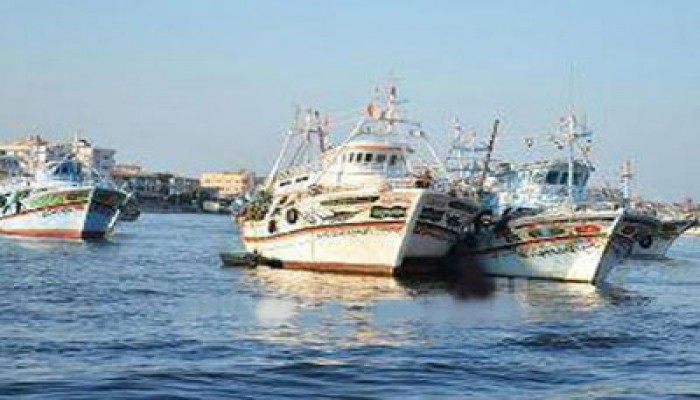 اعتصام صيادي ميناء الأتكة بالسويس للمطالبة بحقوقهم