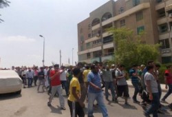 زايد تهتف: "ياللى بتسأل إيه الحل.. السيسي لازم يرحل "