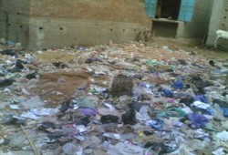 الشوارع الرئيسية بمدينة الزقازيق تتحول إلى مقالب قمامة!!