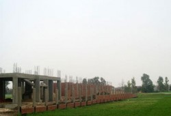 إنجازات الانقلاب.. مصر تخسر 50 ألف فدان زراعي سنويًّا