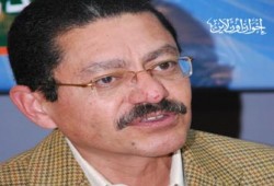 د.رفيق حبيب: الحراك الثوري شمل كل أنحاء مصر