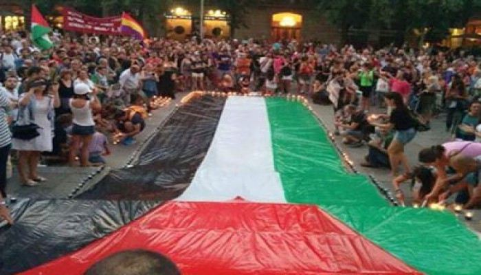 أسطول تركي جديد لكسر الحصار الصهيوني على غزة