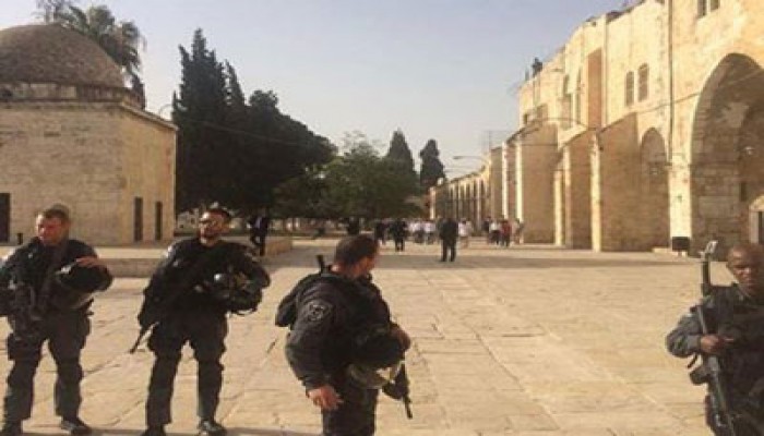 مغتصبون صهاينة ينظمون جولات استفزازية بالمسجد الأقصى
