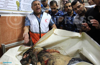 خطب عيد بالنمسا.. دعاء لغزة وتنديد بالصمت الدولي والعربي إزاء العدوان