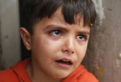 الانقلاب يرفض هبوط طائرة تونسية محملة بالأودية لغزة