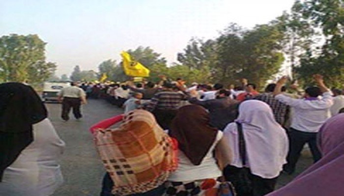 أحرار دسوق يحيون صمود أبطال غزة في مسيرة حاشدة