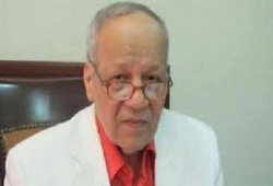 اللواء سليمان يسأل: أين الناصريون من قصف غزة؟