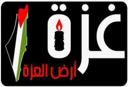 وقفة للجاليات العربية بالصين تهتف: "لبيك يا غزة"