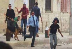 فيديو.. مسيرة حاشدة لطلاب وشباب الزقازيق تتحدى الانقلاب