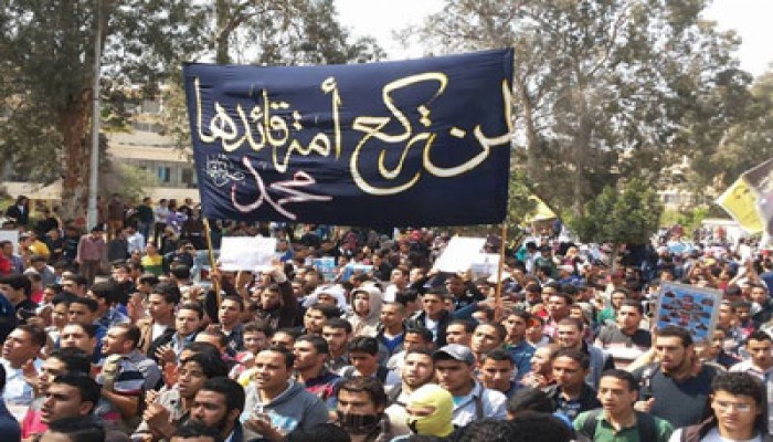 النيويورك تايمز: الإسلاميون المعتدلون بين ضغط المتشددين والثورة المضادة