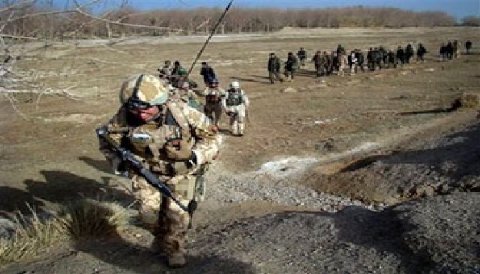 "العموم البريطاني" يدين فشل الاحتلال في وقف زراعة "الخشخاش" بأفغانستان