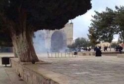 الاحتلال الصهيوني يدنس المسجد الأقصى