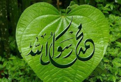 رئيس الشئون الدينية التركية: حضارة النبي محمد لم تعرف الخداع