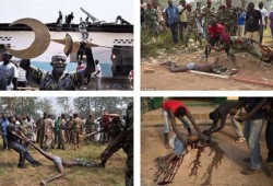 "العالم الإسلامي" تطالب بوقف الإبادة الجماعية لمسلمي إفريقيا الوسطى