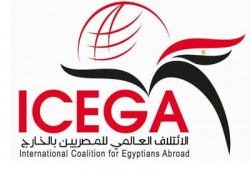 المصريون بالخارج: ندعم الحراك الثوري وننشر القضية للعالم