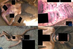 بالفيديو والصور.. وثائق تثبت قتل نظام بشار 11 ألف معتقل تحت التعذيب