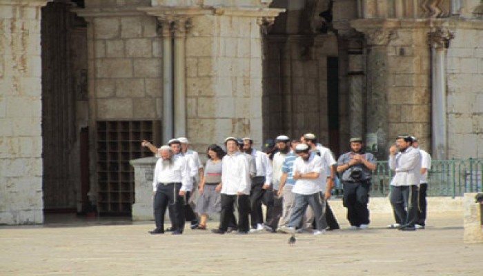 جماعات صهيونية تعتزم اقتحام المسجد الأقصى