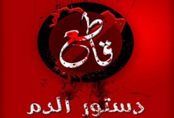 اﻷسوشيتد برس: استفتاء الدم يشبه دعاية الحرب وليس التحول لحكم ديمقراطي