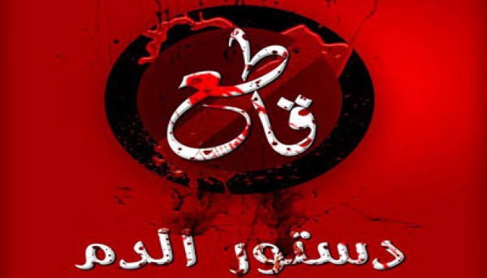 اﻷسوشيتد برس: استفتاء الدم يشبه دعاية الحرب وليس التحول لحكم ديمقراطي