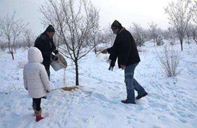 بالفيديو.. "تركيا" تطعم الحيوانات البرية لمواجهة الظروف الجوية