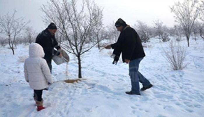 بالفيديو.. "تركيا" تطعم الحيوانات البرية لمواجهة الظروف الجوية