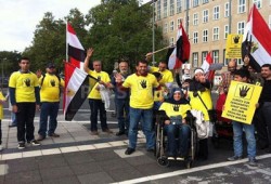 الجالية المصرية بالنمسا تدعو لوقف التحويلات لإسقاط الانقلاب