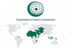 مبعوث أمريكي يشارك في اجتماعات "التعاون الإسلامي" بغينيا