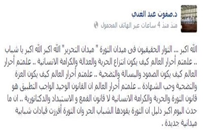 "صفوت عبد الغني": دخول التحرير أكبر دليل على أن الثورة يقودها الشباب