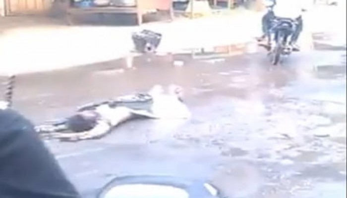 بالفيديو.. بوذيون يسحلون مسلمًا قتل غدرًا في بورما