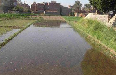 إهمال ري سوهاج يتسبب في غرق عشرات الأفدنة بالعسيرات