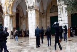 مرابطو الأقصى يحولون دون اقتحام الصهاينة للمسجد