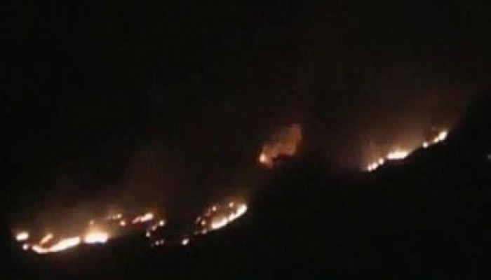 حركة عدم الانحياز تدين الهجوم الصهيوني على سوريا