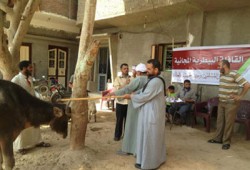 إقبال كبير على القافلة البيطرية بنزلة سرقنا بأسيوط