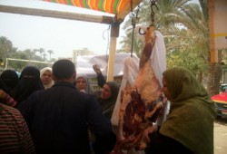 إقبال كبير على سوق الحرية والعدالة للسلع الغذائية واللحوم والأسماك بالقلج