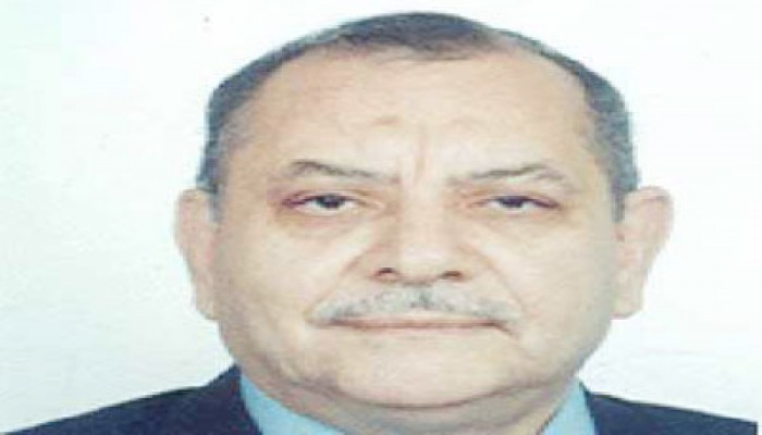 رئيس الدستورية: لا يحق للرئيس أو القضاة التدخل في أعمال "الشورى"