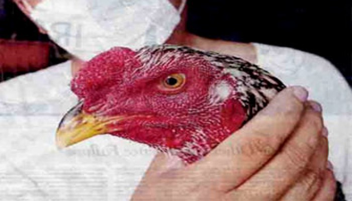 الصين تعلن الإصابة الـ60 بـ(إتش7 إن9) ووفاة 13 حالة منها