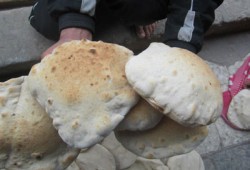 الحرية والعدالة يبدأ في توزيع الخبز على المنازل بالإسكندرية